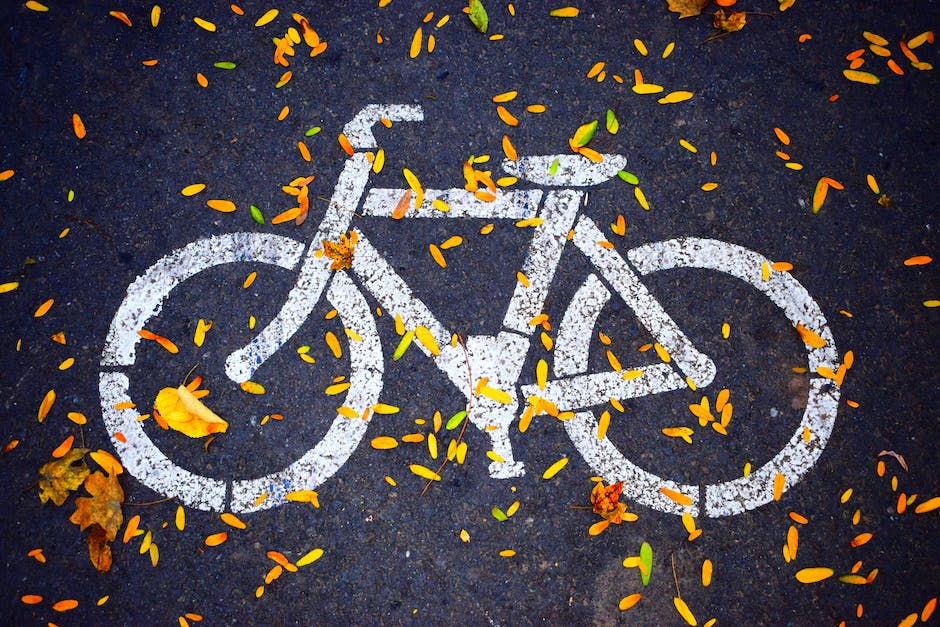 Bike sign on a bike path, with tree leaves
